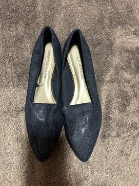 Christian Siriano Dark Navy Pointed Toe Flats